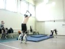 Frontflip Fall