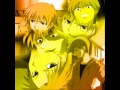 Funny bears kyo!