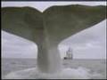 Moby Dick vs The Final Count Down