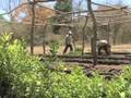 Return to Forest climate change & reforestation in Nicaragua