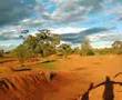 Jesse on a crfx 250 at cobar