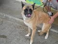 Tyla A4058009