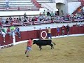 Vaquillas La Solana 2007 \"Si te pilla la vaca jodete\"