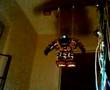 Robonova-1 controller by Linux box via UIRT (lircd)  -- test