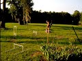 marlee-the-lab.html