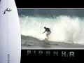 PIRANHA	