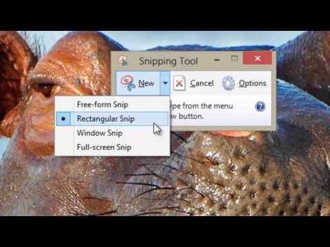 how to use the snipping tool