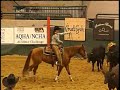 Cutters, AKA Convention Big Business For Jackson Cowboys and sorority women....a combination you don't see everyday. But they are two groups of visitors making this a big weekend for downtown Jackson business.