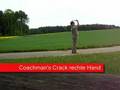 Bullwhip für Dummies - Teil 6 - Der Coachman's Crack