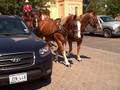 Wells Fargo stagecoach