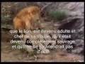 Une histoire émouvante.