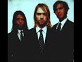 Nirvana-Stay
