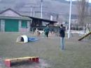 agility