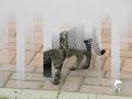 Besuch auf dem Storchenhof Papendorf