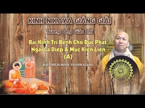 Kinh NIKAYA Giảng Giải - Tương Ưng Giác Chi - Bài Kinh Trị Bệnh Cho Đức Phật  A