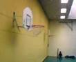 basket freestyle niko
