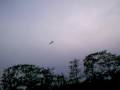Silverlit X-Twin Jet rc Airplane