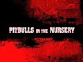 Pitbulls In The Nursery - W crew (French Technical Metal)