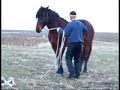 Quick Tips Series 3 - Spur introduction Quick Tips Series 3 - Spur introduction