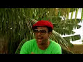 BIG YARD MUSIC - SHAGGY - REGGAE VIBES BIG YARD MUSIC - SHAGGY - REGGAE VIBES
