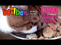 Wilber and the Tuna Flavored Water (Episode 5)