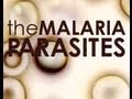 The Malaria Parasites - 52min. documentary