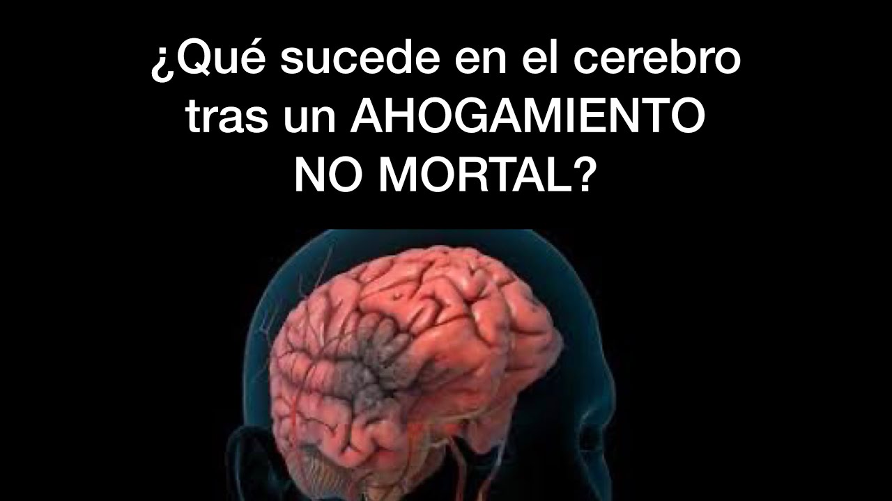 Ahogamientos NO mortales.  ¿Qué sucede en el cerebro?