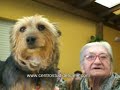 Centro Studi del Cane ( Pet Therapy ) Centro Studi del Cane ( Pet Therapy )
