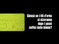 MARGHERITE COME BACI (videopoesia) OPIEMME