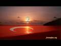 murat evgin sehit
