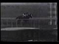 Man o' War - 1920 Kenilworth Park Gold Cup Handicap(and more)
