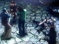 videos de Tekken 5 - Nina Williams