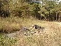 Hammering on Grizzly 700 in mud
