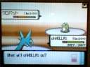 Wifi Pokemon Battle #33 Ronca vs Dnangels Wifi Pokemon Battle #33 Ronca vs Dnangels