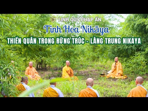 NIKAYA Thiền Quán Trong Rừng Trúc - Làng Trung NIKAYA