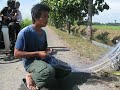 pukat ikan pukat ikan