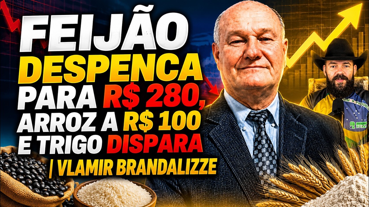 Feijão despenca para R$ 280, Arroz a R$ 100 e Trigo dispara | Vlamir Brandalizze.