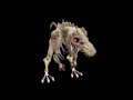 Spore - Skull Spinosaurus