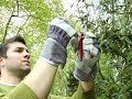 How To Protect Yourself From West Nile Virus West Nile Virus