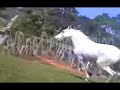 muleque doidão da roça