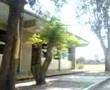 hermanos-lelos-ping-