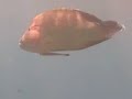Bunaken, Manado w/ Humphead wrasse, turtle, butterflyfish Bunaken, Manado w/ Humphead wrasse, turtle, butterflyfish