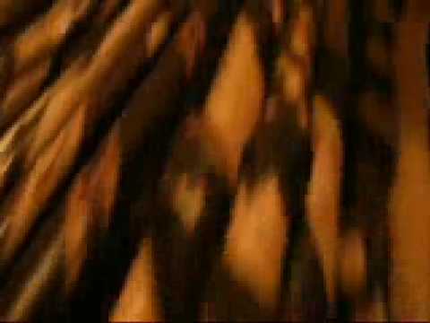 Video de Why Don't You Write Me de Simon & Garfunkel