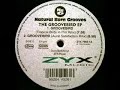 Natural Born Grooves - Groovebird