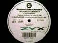 Natural Born Grooves - Groovebird
