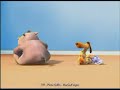 hippo farting
