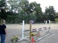 FOR SALE - Medium Pony (Course)