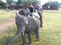 Elephant Ride