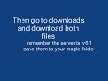 ArnoMS v.61 private server how to connect