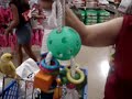 more bird fun with sunny and ohanah
